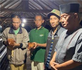 Perkuat Ketahanan Pangan, BUMKal Jati Lestari Jatiayu Kelola Budidaya 1.000 Ekor Ayam Petelur